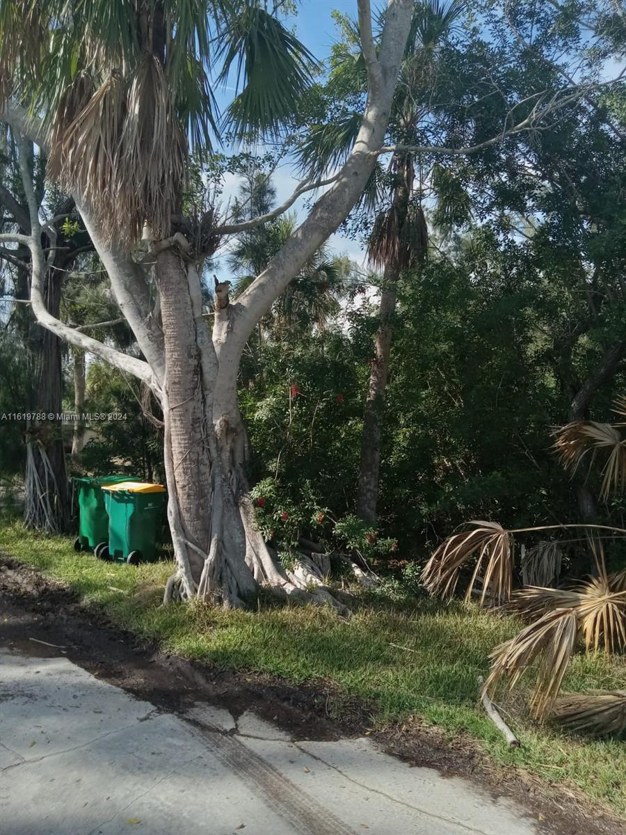 Bayshores - Land