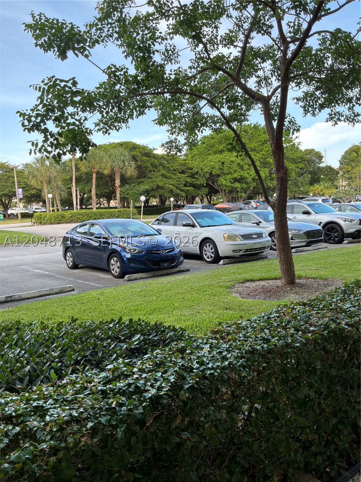 BIMINI VILLAGE F CONDO - Residential