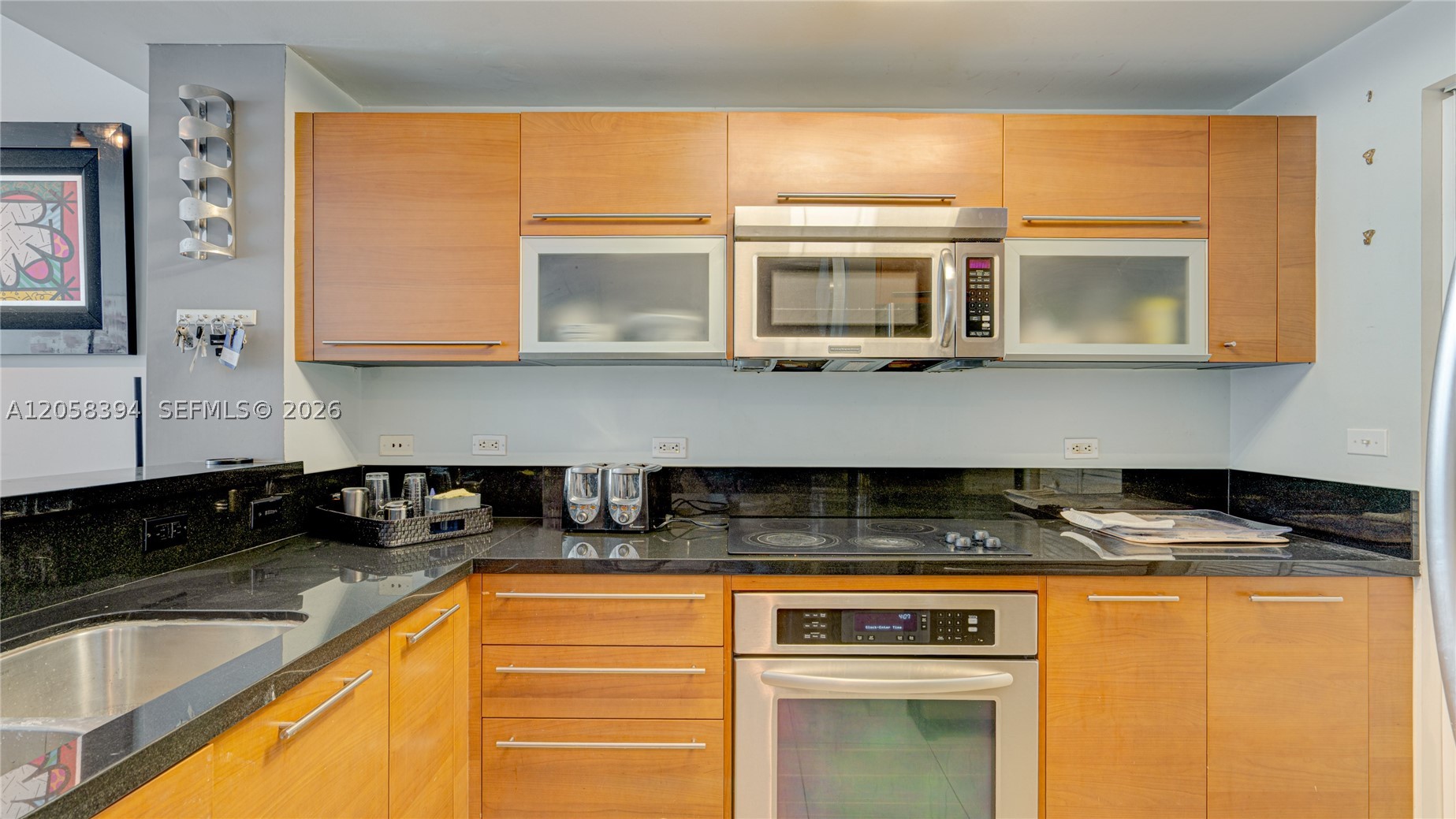 VIZCAYNE NORTH CONDO - Residential