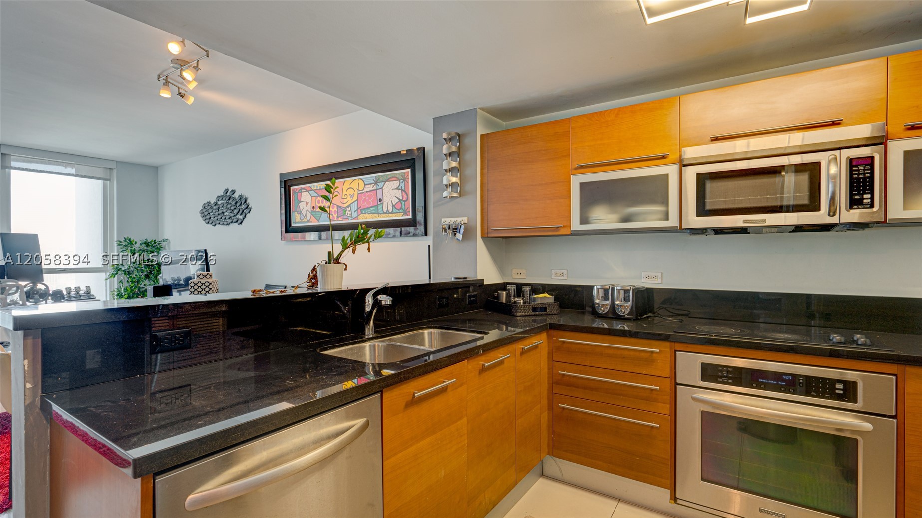 VIZCAYNE NORTH CONDO - Residential