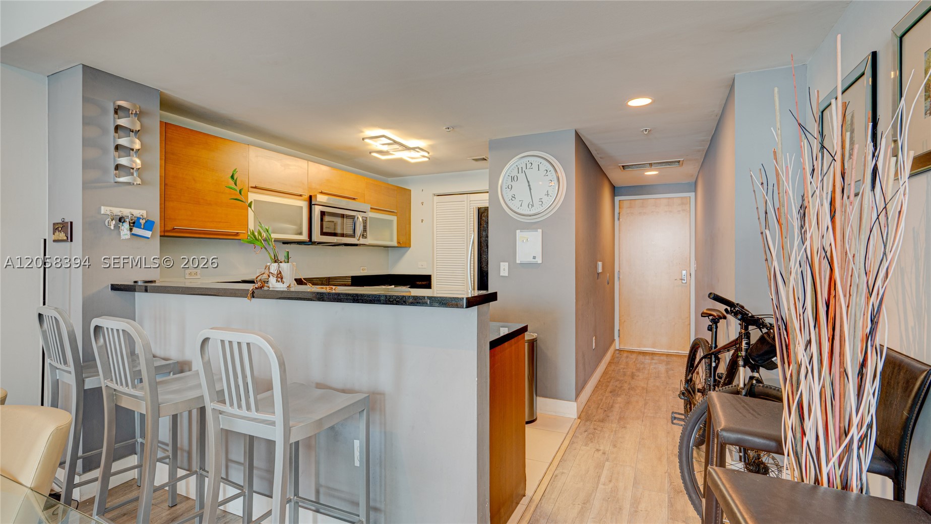 VIZCAYNE NORTH CONDO - Residential