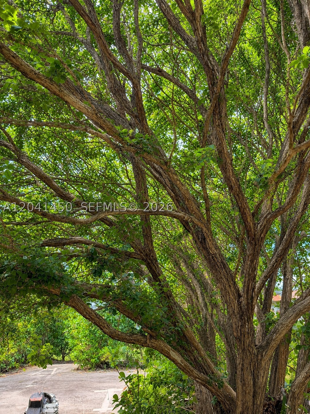 REDAVO ESTATES - Residential