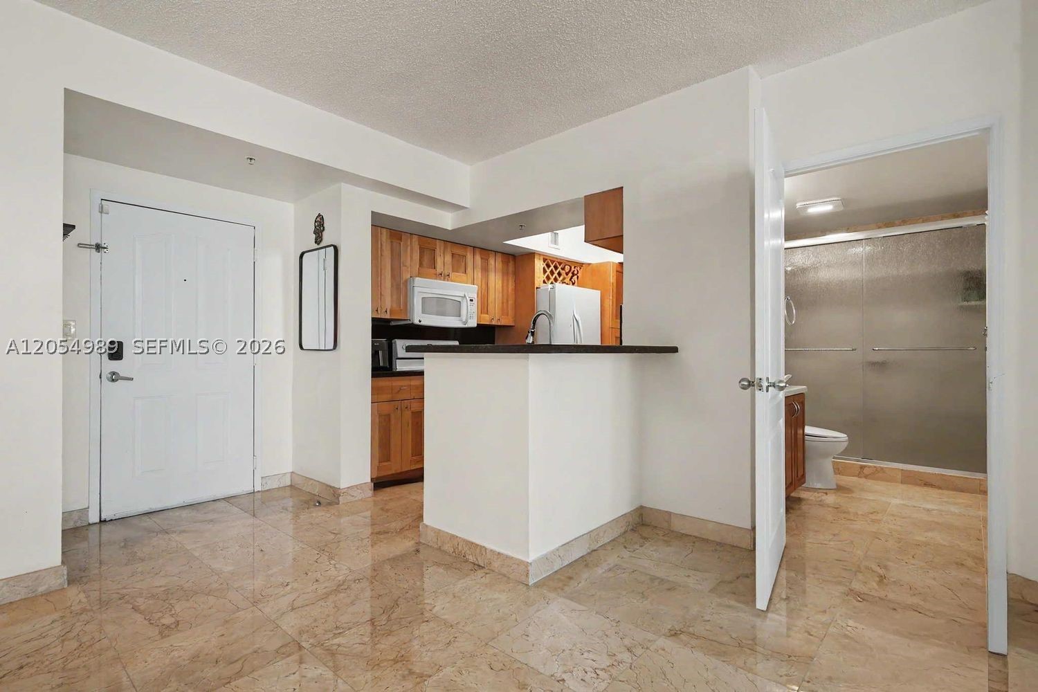 BLUE LAGOON CONDO - Residential