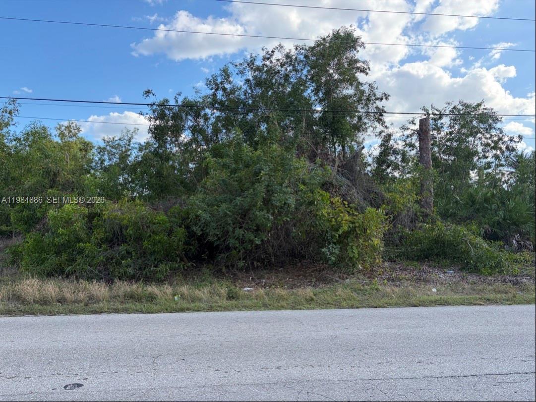 Cape Coral - Land