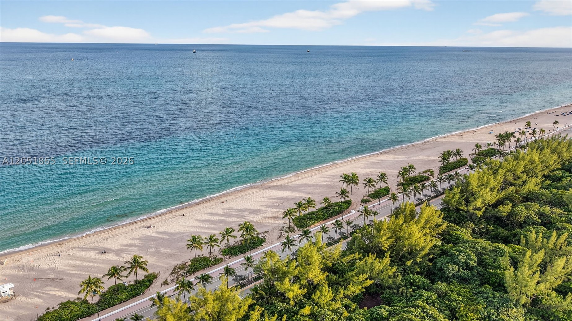CARLTON TOWER CONDO - Residential Lease