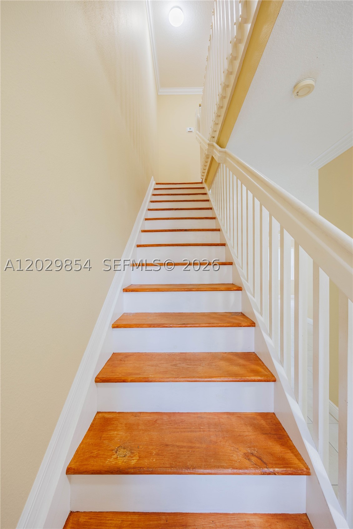 SEMINOLE PALMS - Residential