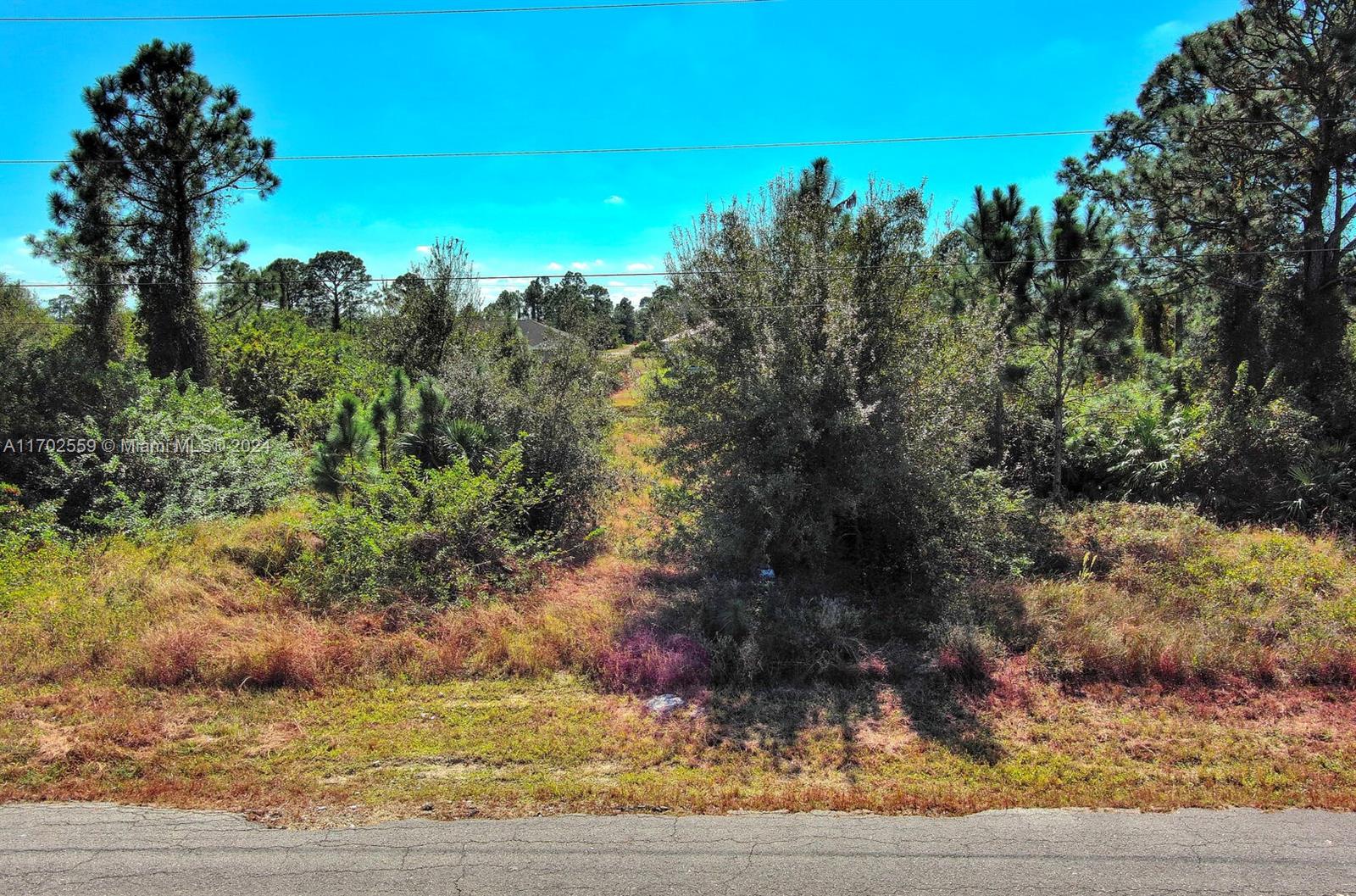 LEHIGH ACRES - Land