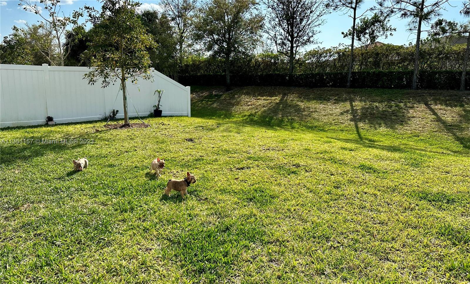 Manderlie at Tradition - Residential Lease