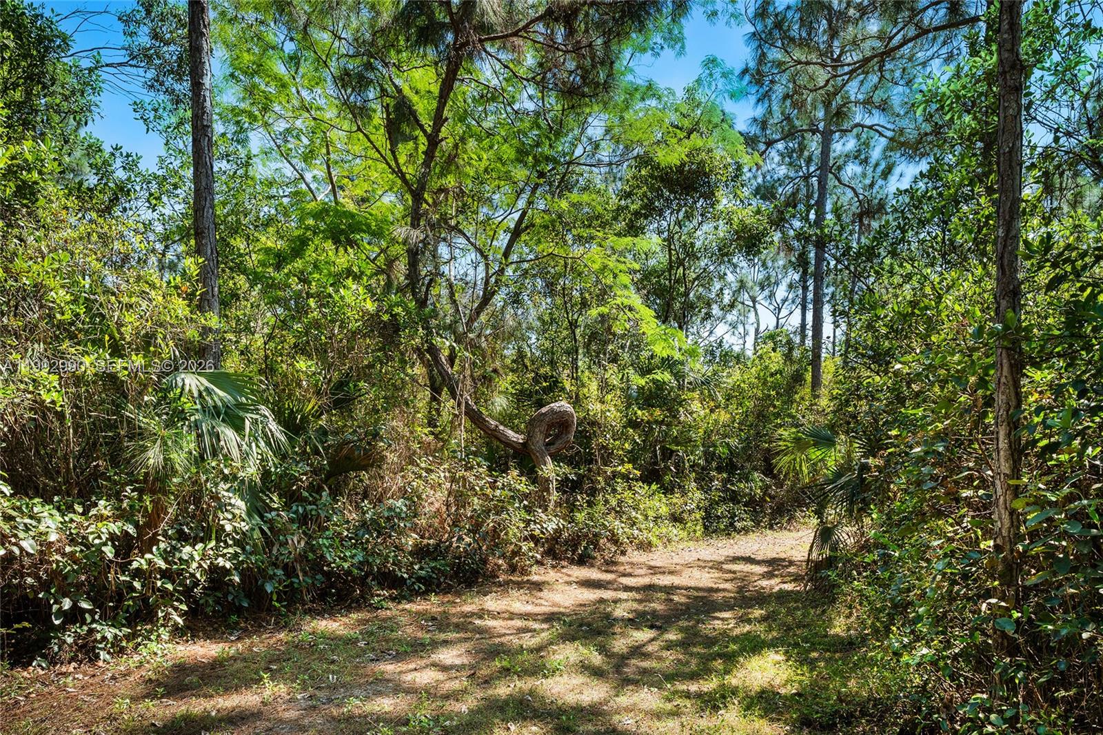 BREEZY OAKS - Land