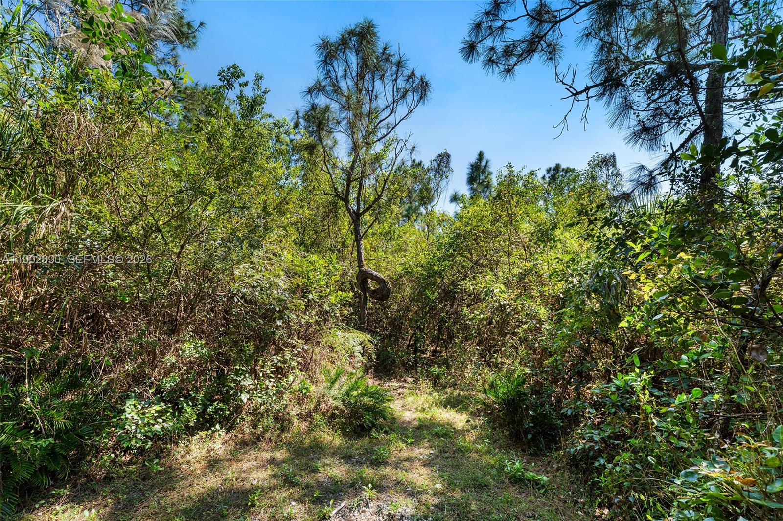 BREEZY OAKS - Land