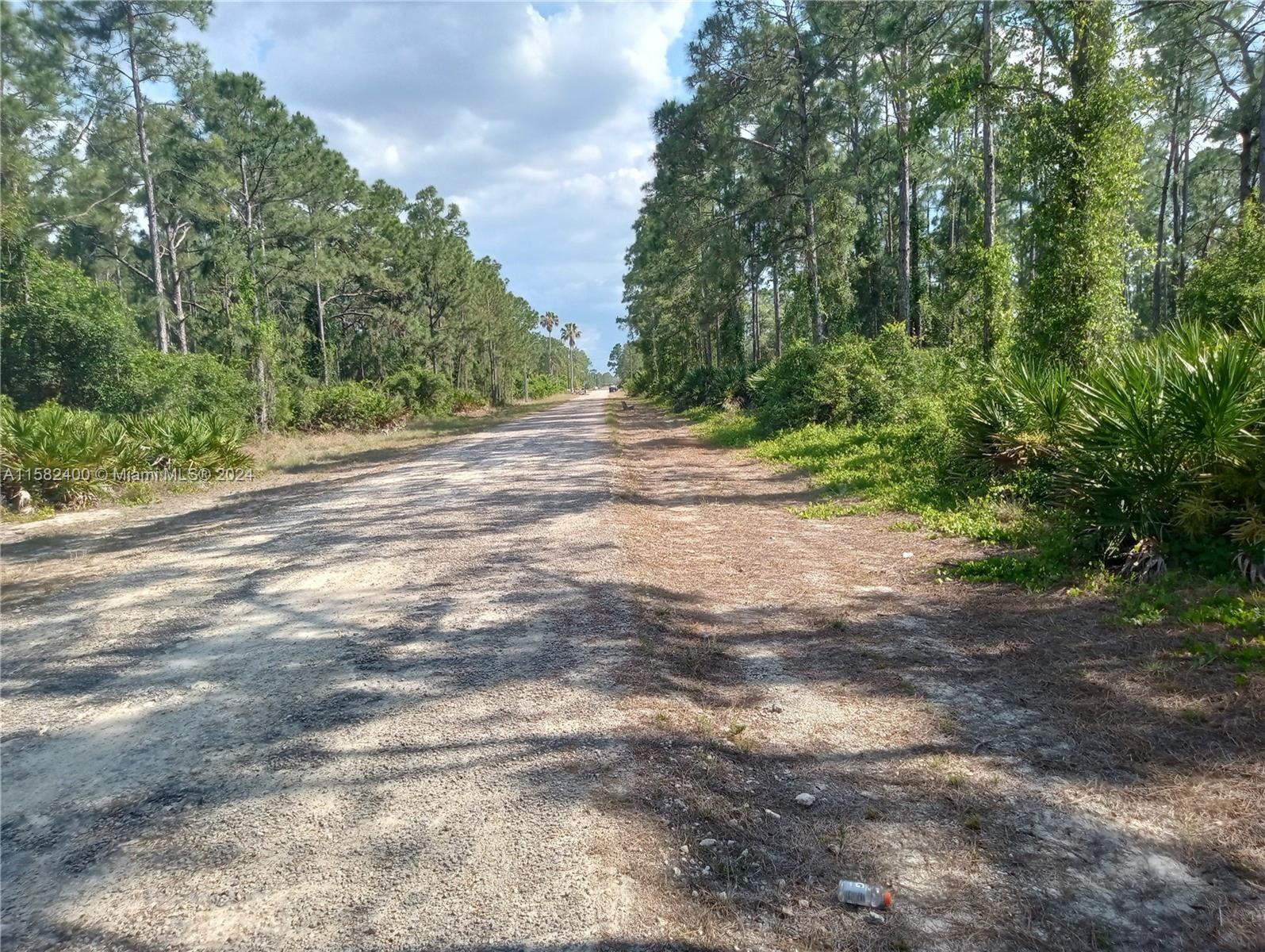 LEHIGH ACRES - Land