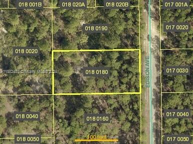 LEHIGH ACRES - Land