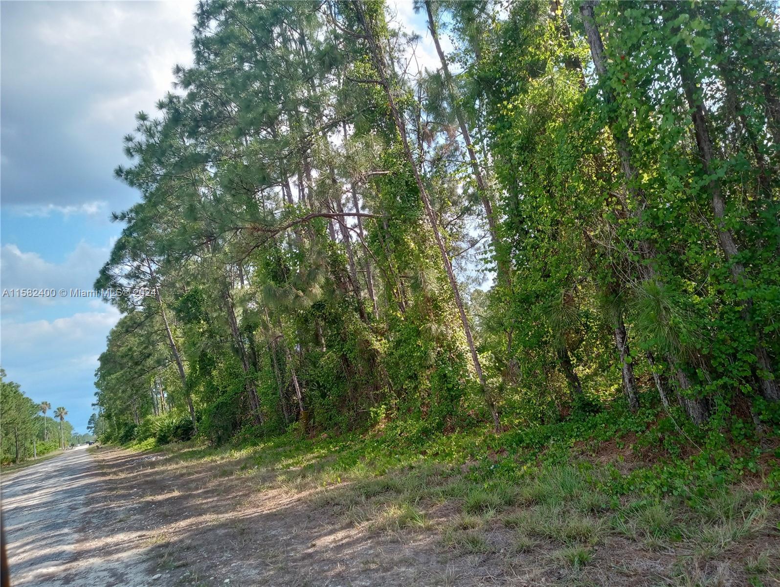 LEHIGH ACRES - Land