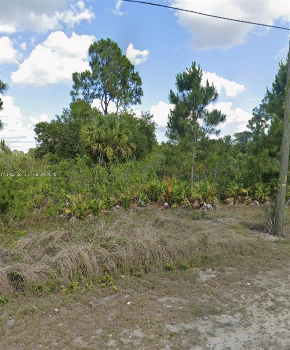 LEHIGH ACRES - Land