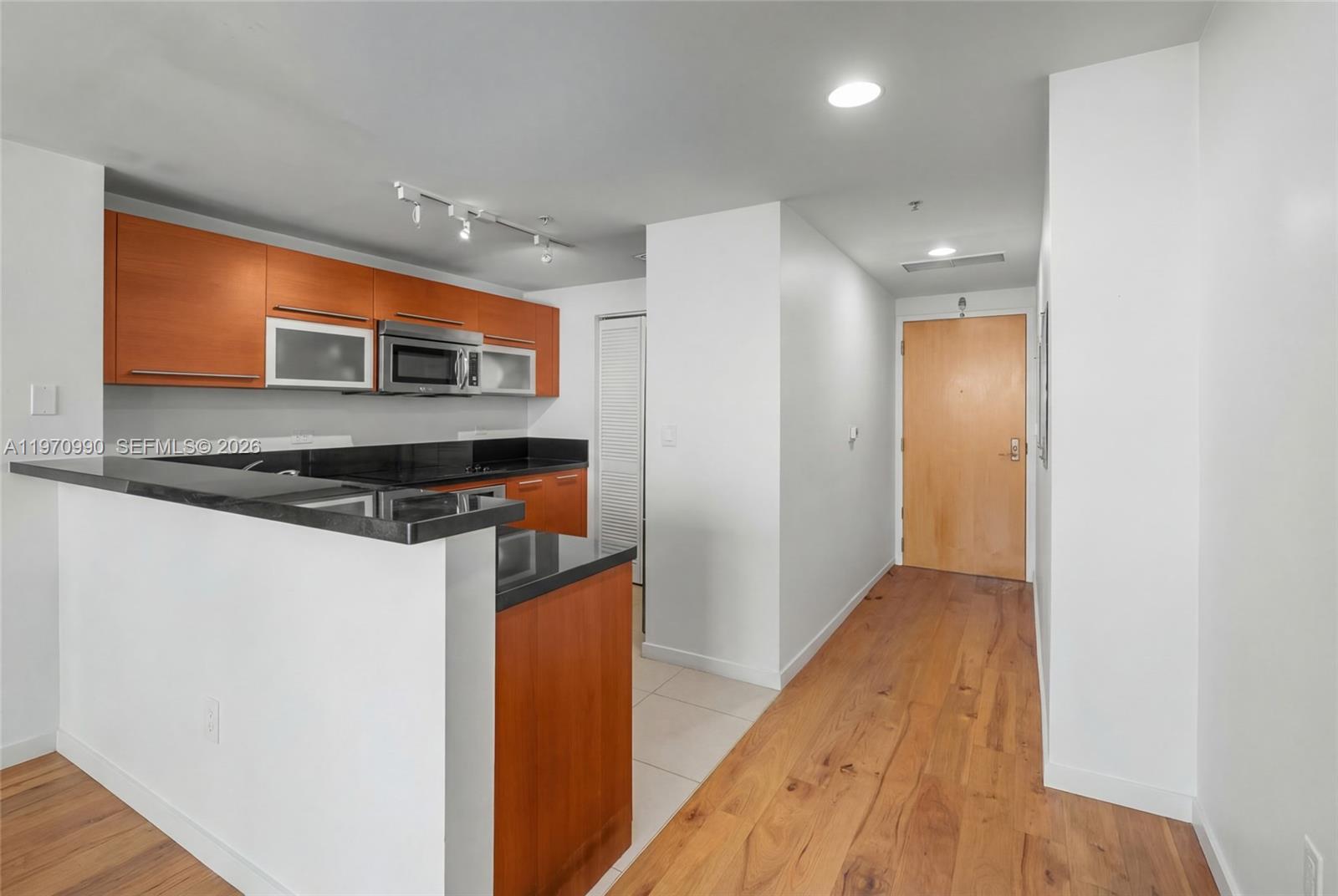VIZCAYNE SOUTH CONDO - Residential