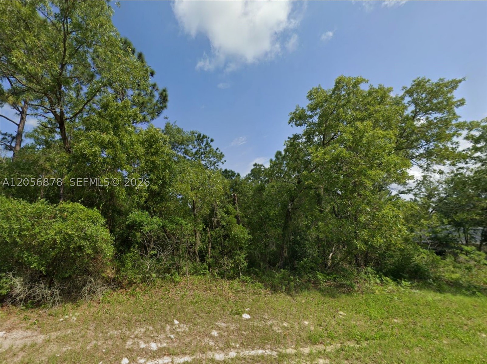 Marion Oaks - Land