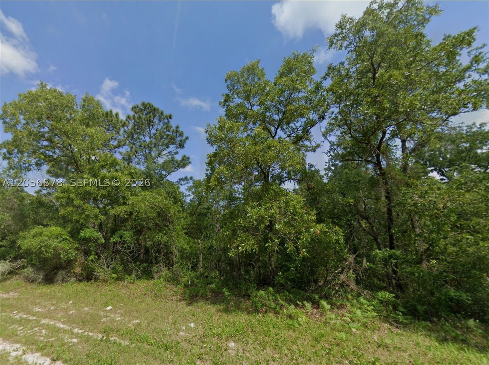 Marion Oaks - Land