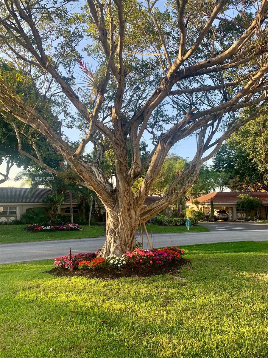 NO 2 PALM-AIRE COUNTRY CL - Residential