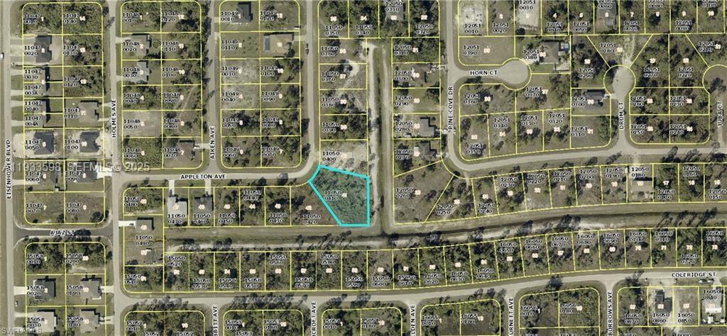 LEHIGH ACRES - Land