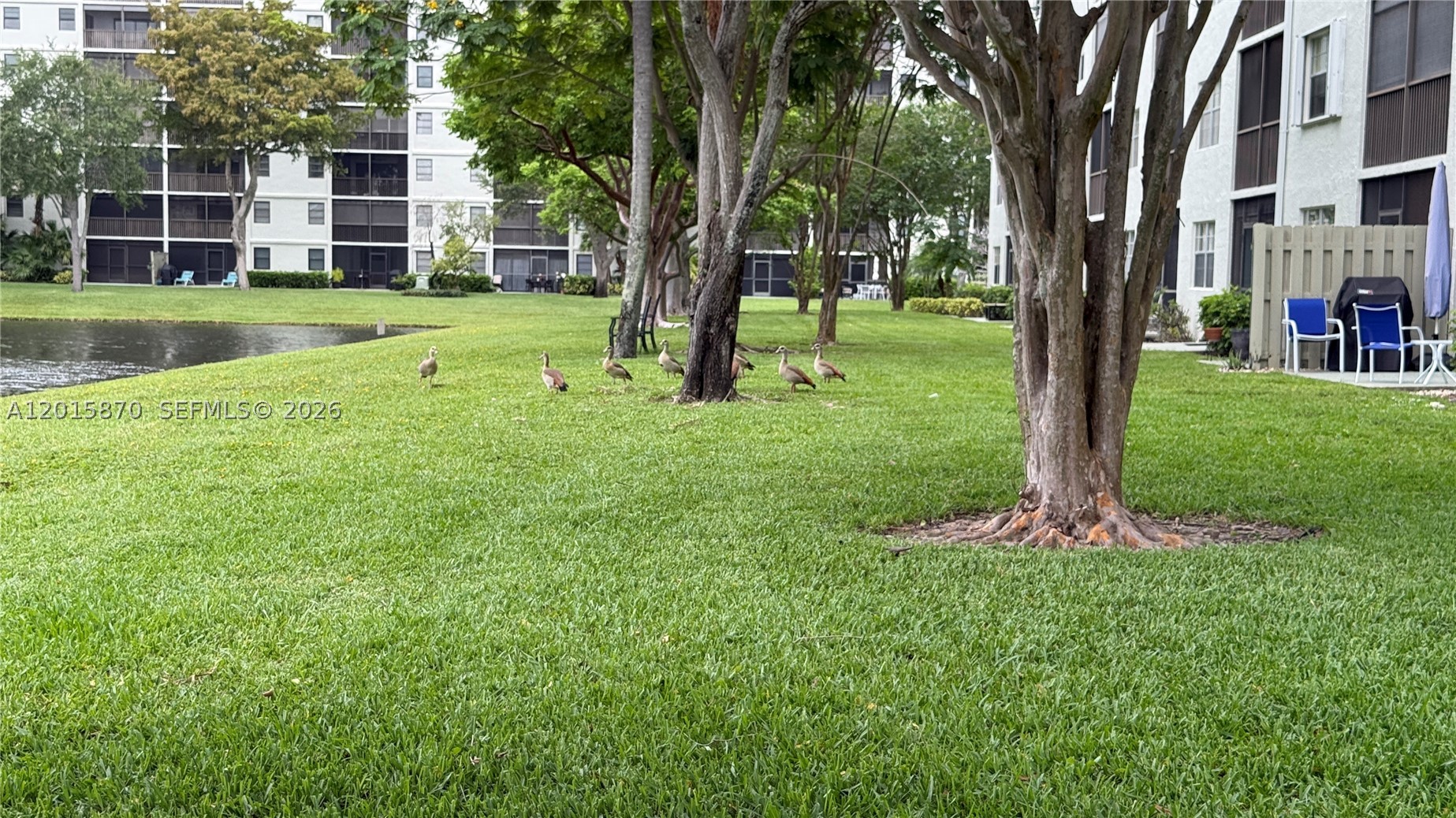 CYPRESS BEND CONDOMINIUM - Residential