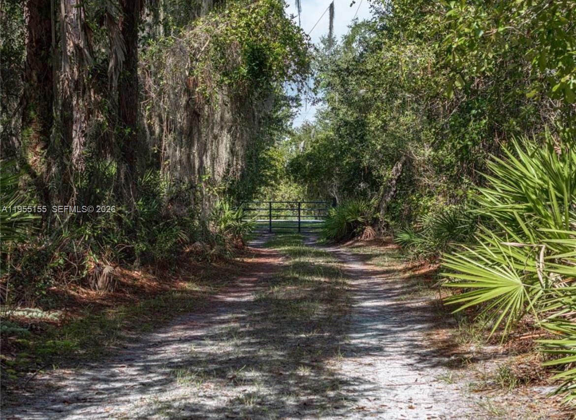Acreage - Residential
