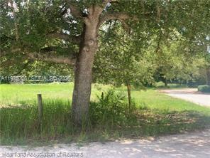 AVON PARK LAKES - Land