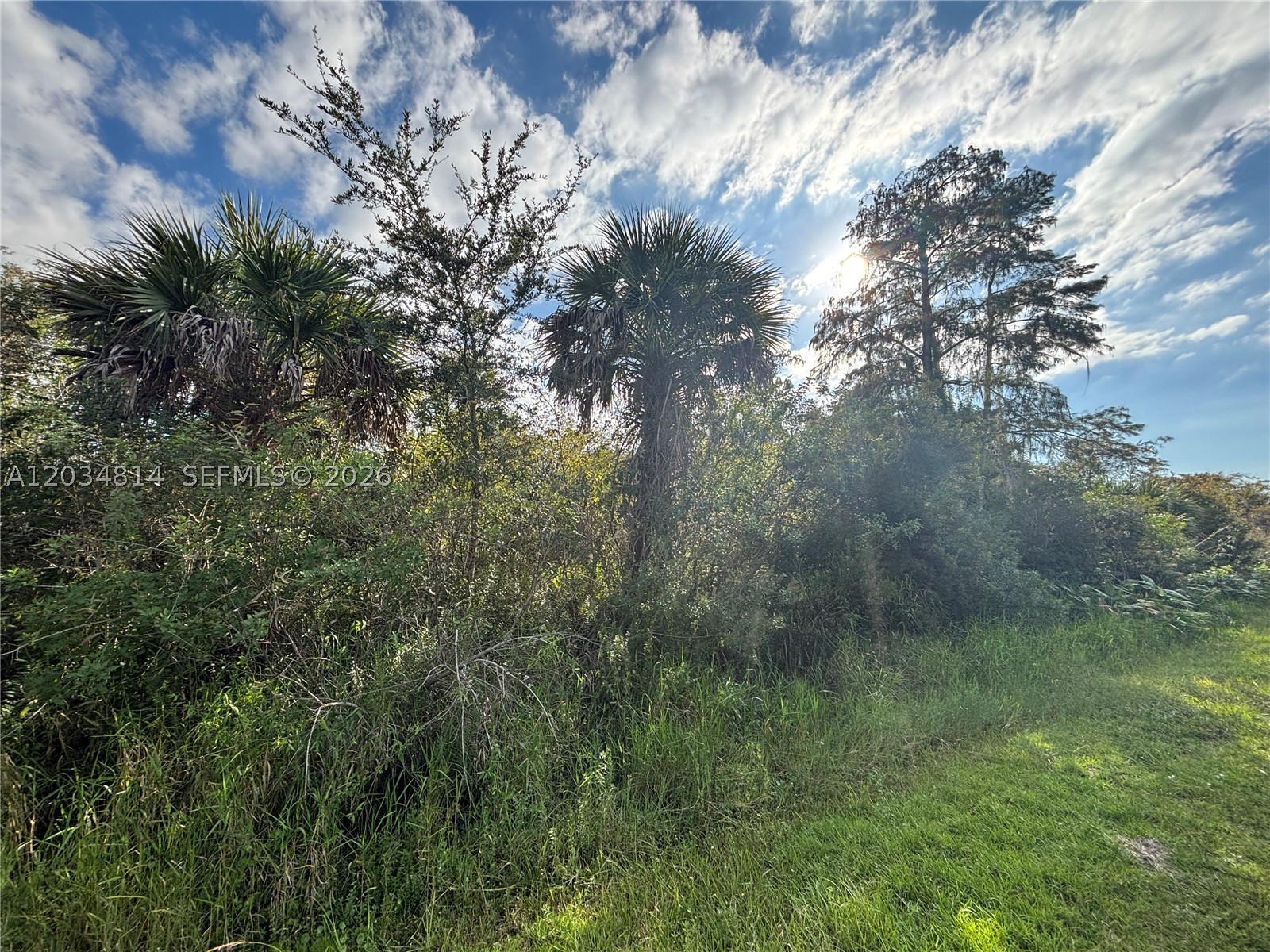 GOLDEN GATE ESTATES - Land