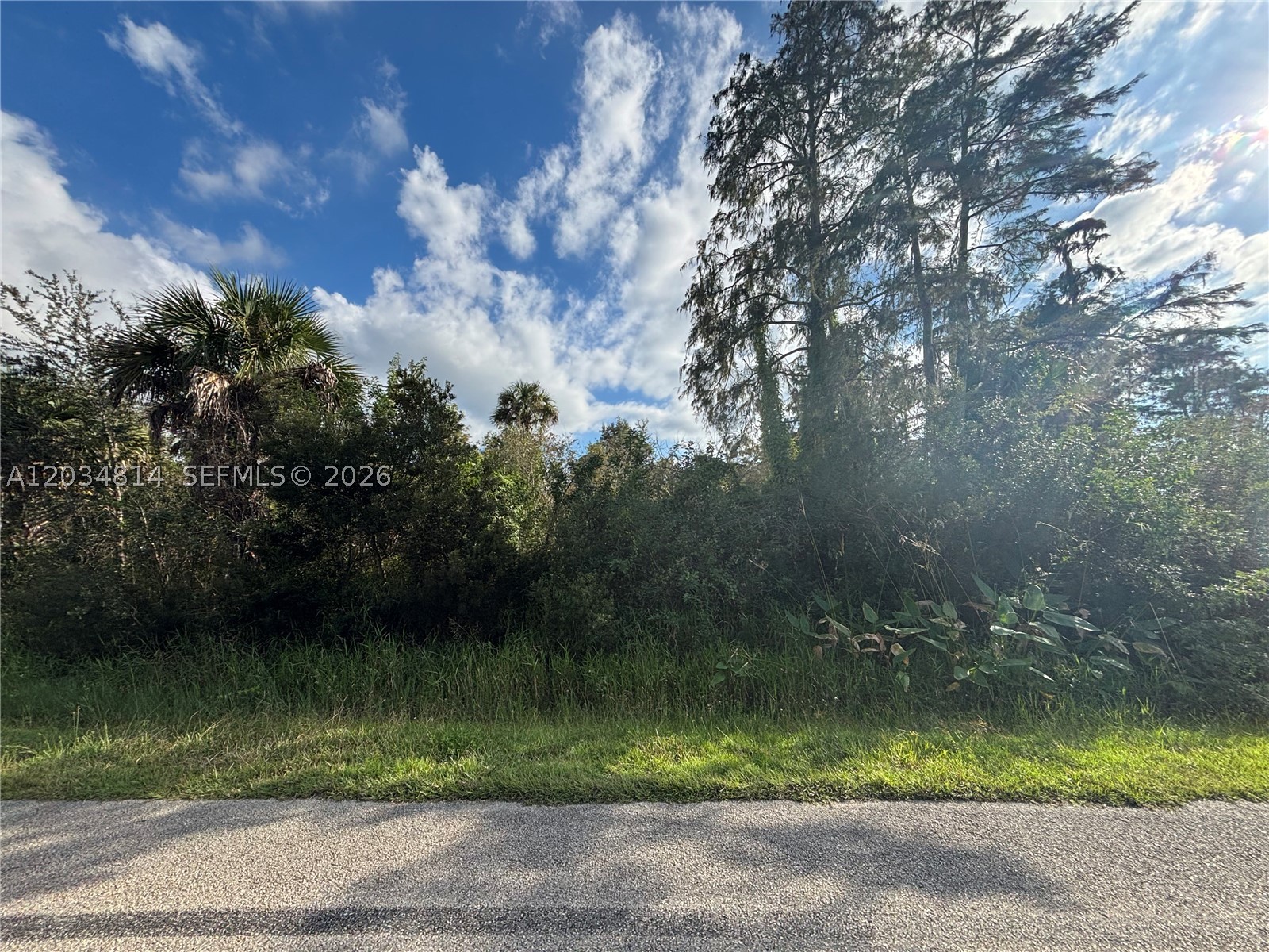 GOLDEN GATE ESTATES - Land
