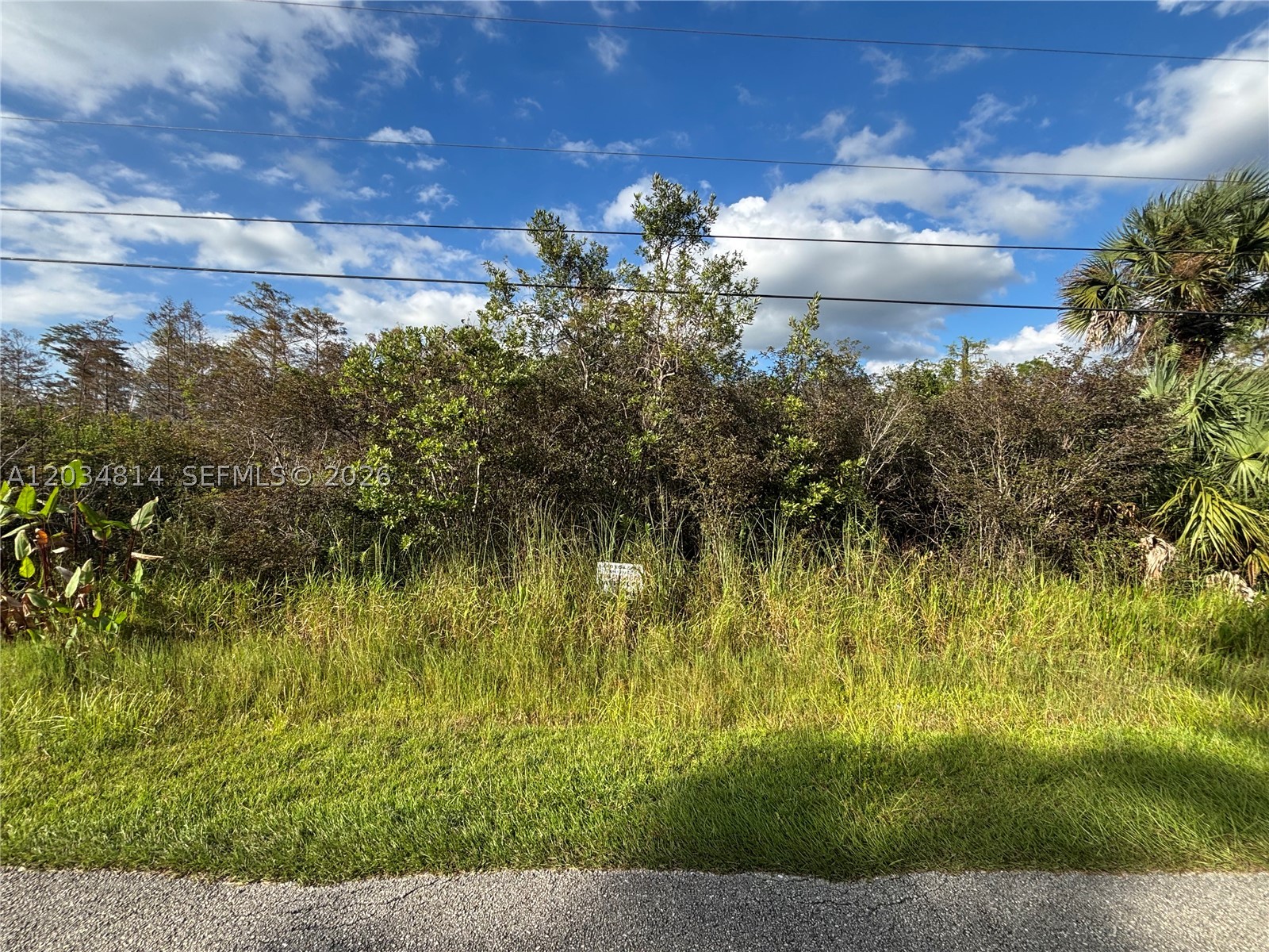 GOLDEN GATE ESTATES - Land