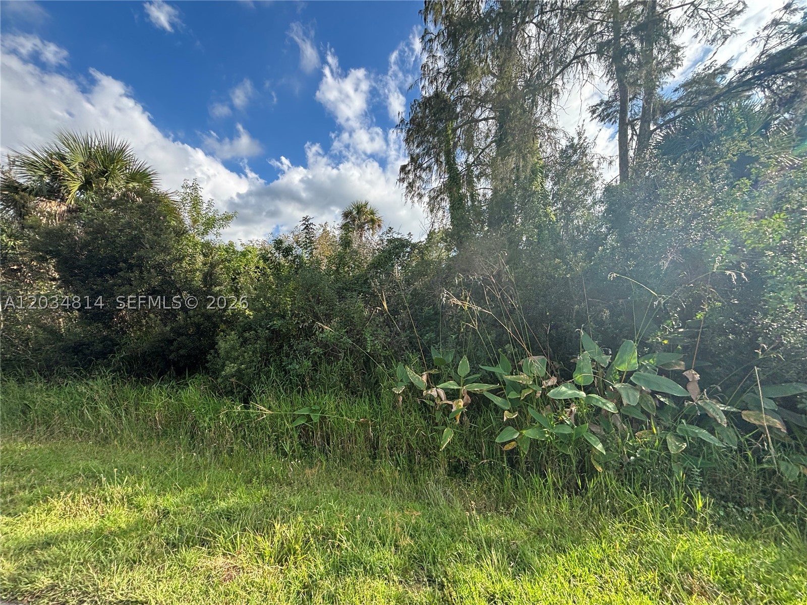 GOLDEN GATE ESTATES - Land