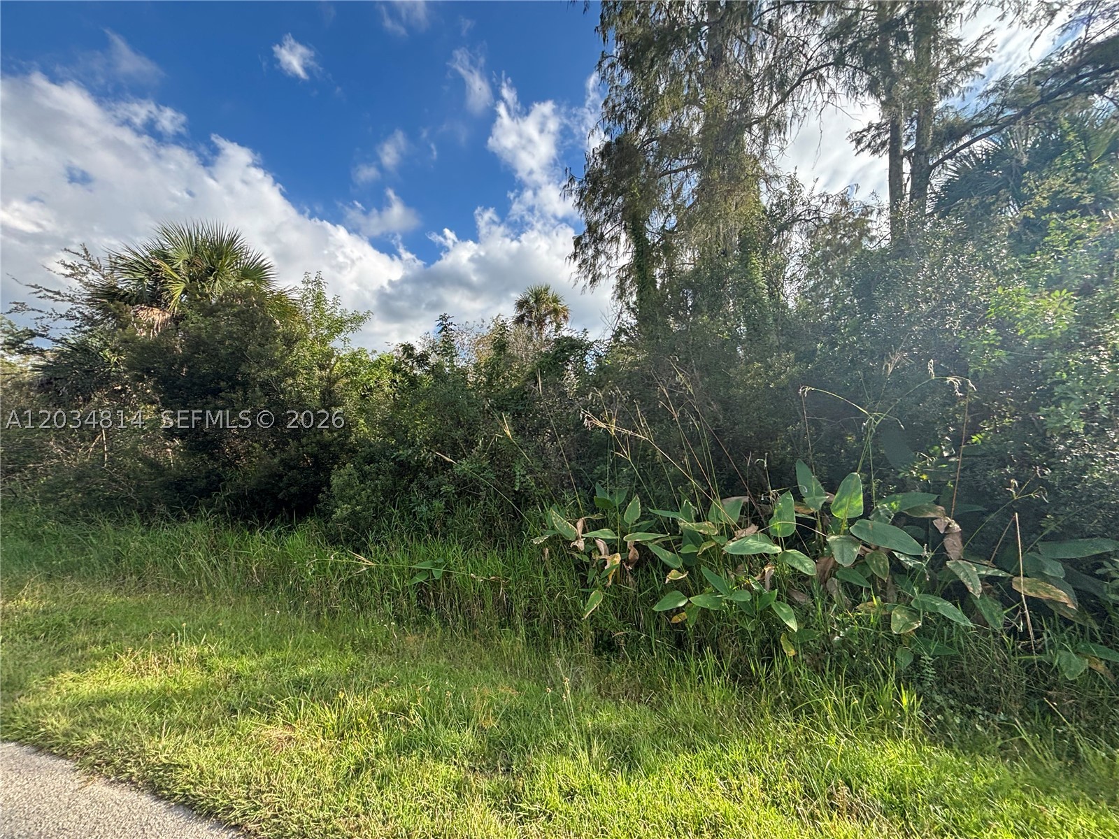 GOLDEN GATE ESTATES - Land