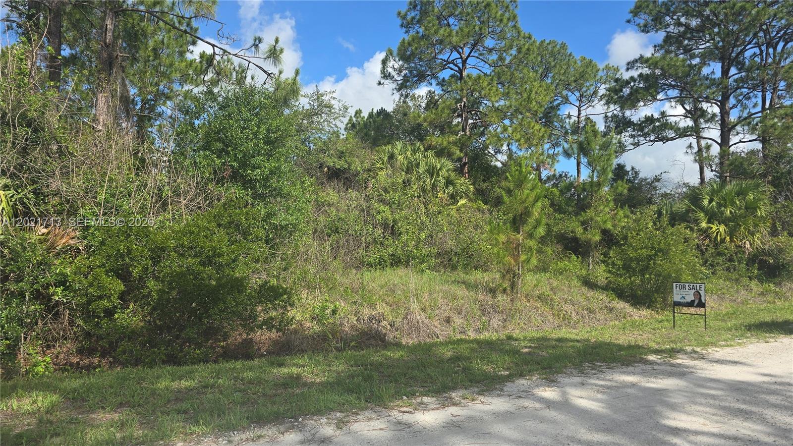 Exceptional opportunity in Montura Ranch Estate, Clewiston, Florida. This 1.25-acre lot is high, and dry. Located in a rural community known for spacious parcels and peaceful surroundings, with privacy and a true country feel. No HOA. Ideal for a custom home, manufactured home, or weekend retreat, with plenty of space for outdoor activities, animals, and enjoying Florida’s natural landscape.