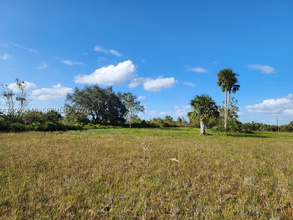 Discover your dream oasis on this serene 1.25-acre lot, ready for your perfect home in the peaceful Kissimmee Prairie neighborhood! With a culverted entrance and beautifully maintained grass. Enjoy easy access to the outdoors, just minutes from the breathtaking Kissimmee Prairie Preserve State Park, where you can hike, bike, horseback ride, and camp under the stars. Imagine a life where you can embrace the country lifestyle, bring your animals, and immerse yourself in nature’s wonders.. Escape the hustle and bustle of city life and create lasting memories in this enchanting natural haven, where adventure and tranquility await!  SURVEY IS INCLUDED.