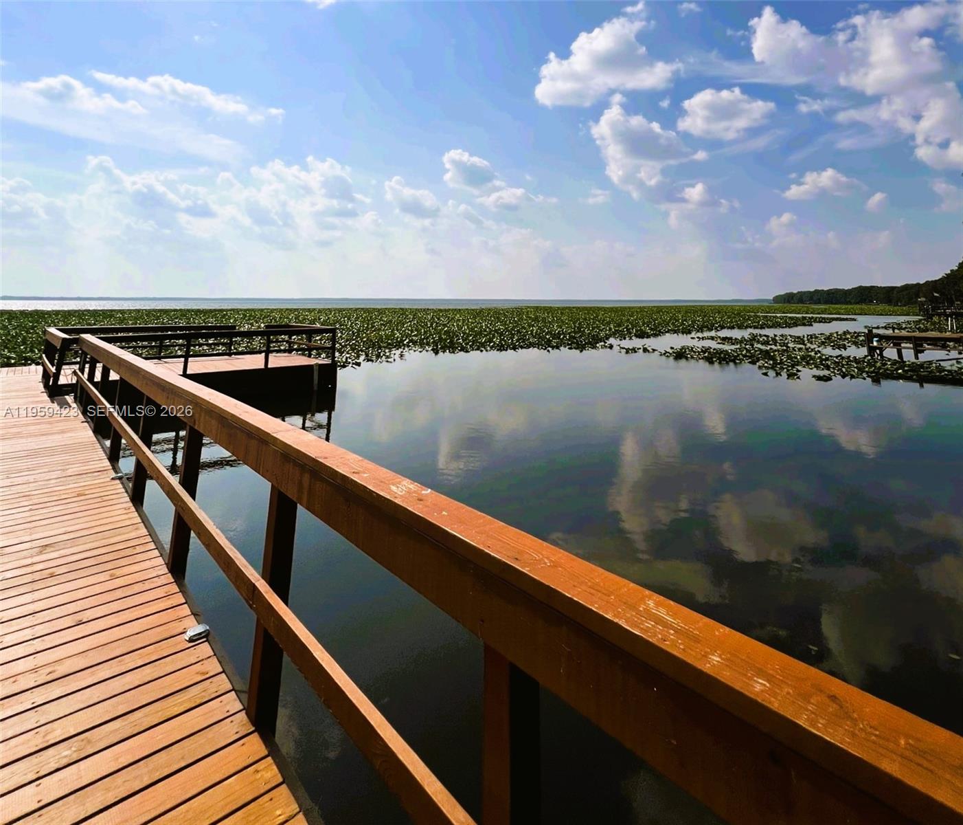 Lochloosa Lakefront - Residential
