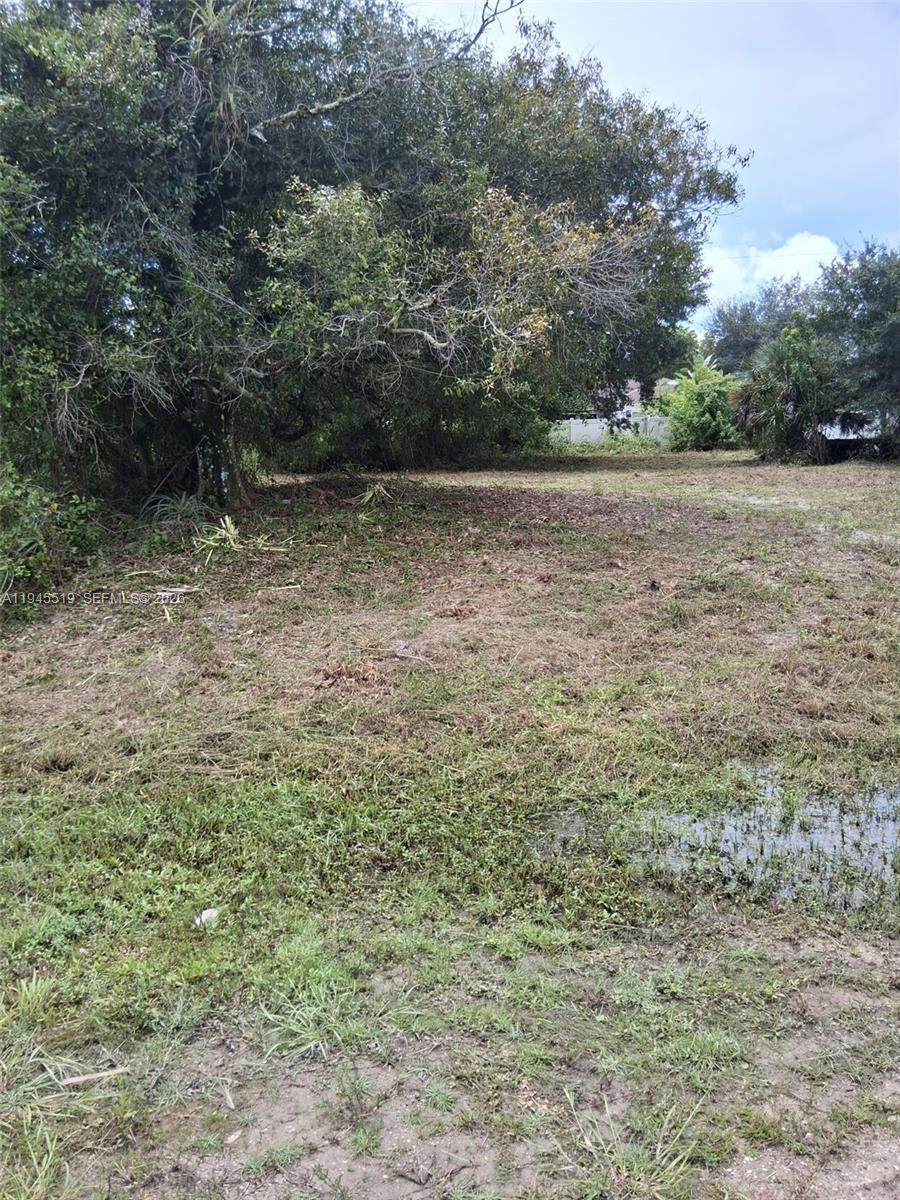 Discover the perfect opportunity to build your dream home or invest in a rapidly growing area. This beautiful, spacious 10,000 sq ft lot is ideally located just minutes from schools and parks, offering both convenience and a peaceful neighborhood setting.

With easy access to SR-82, commuting is simple while still enjoying a quiet, residential atmosphere. The area continues to experience steady growth, making this oversized lot an excellent choice for future value appreciation.

Enjoy the flexibility of no HOA restrictions, giving you the freedom to design and build to your vision. You’ll also be just a short drive from shopping, dining, and all the amenities of vibrant Fort Myers.

the property includes a bunker—a rare feature that adds versatility and extra value, perfect for storage, security, or creative multi-use options.

Don’t miss this exceptional opportunity to own a prime piece of land with endless potential.