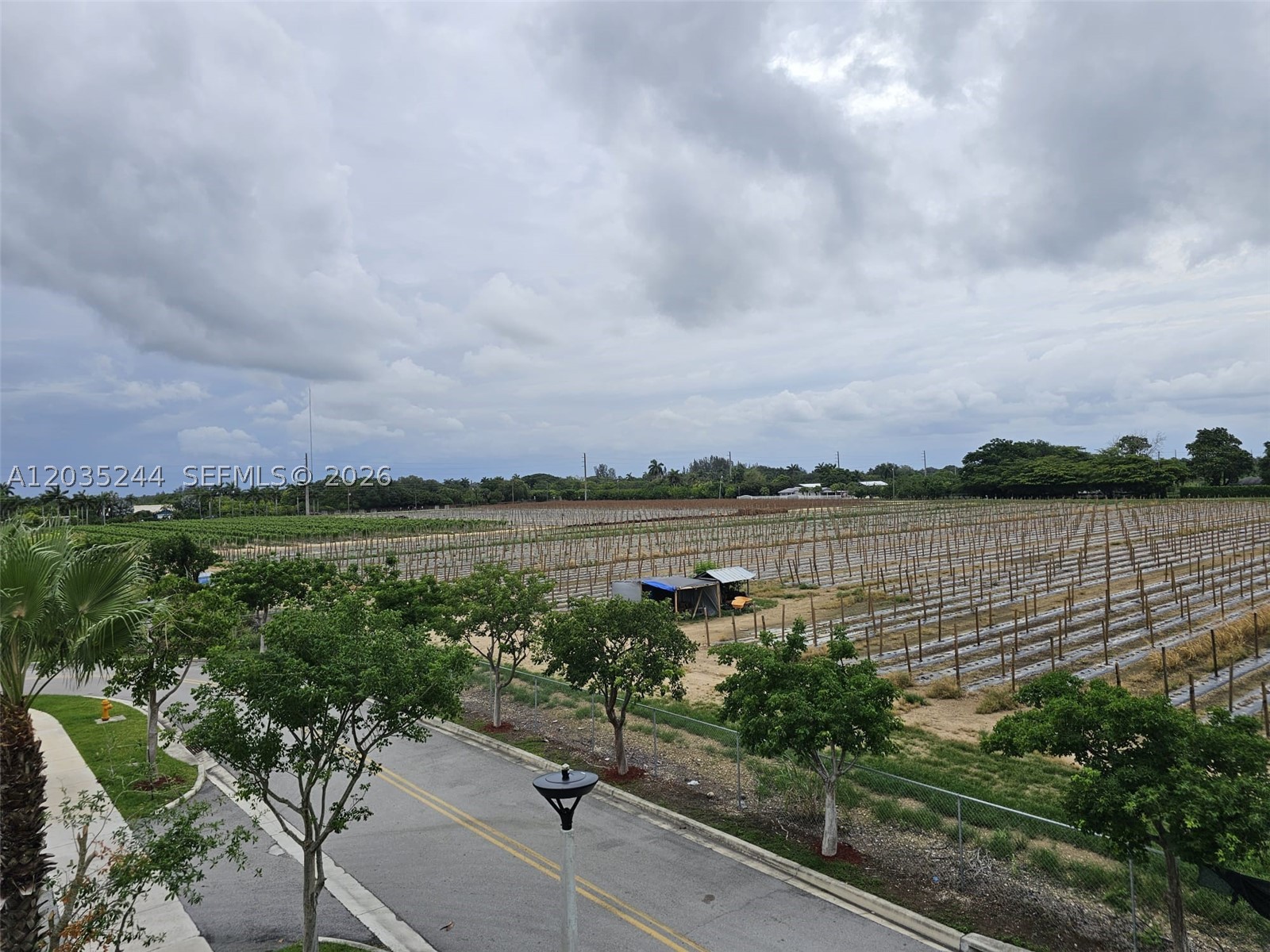 PARADISE ONE - Residential Lease