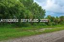 Lehigh Acres - Land