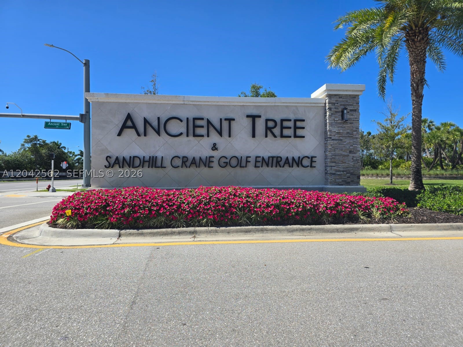 ANCIENT TREE - Residential