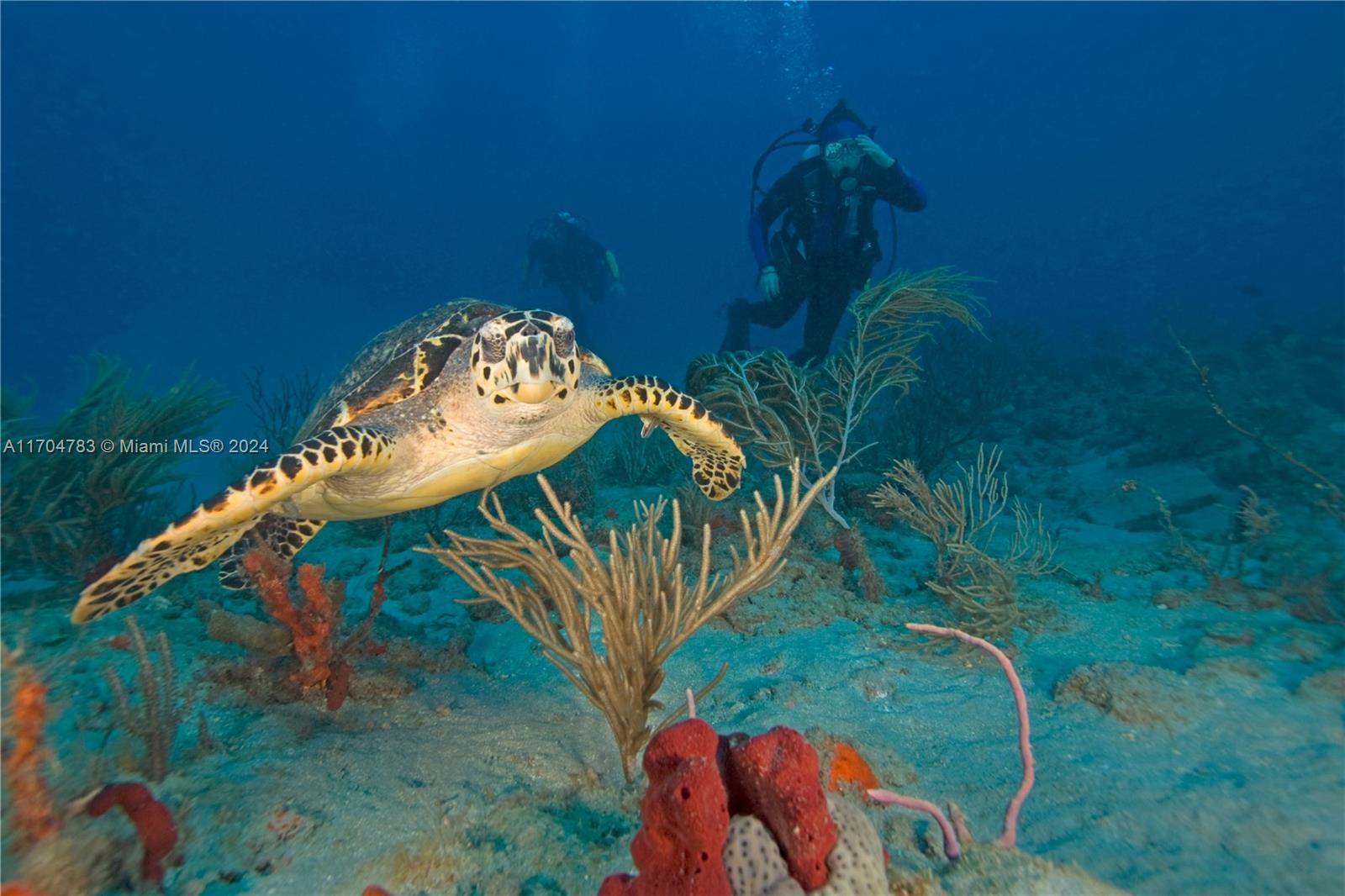 Port Charlotte 55 - Land