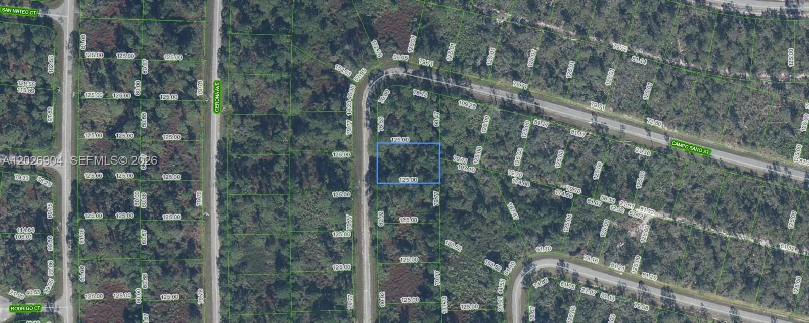 OWNER FINANCING AVAILABLE! OWNER FINANCING: $2K down, $398.31/month for 36 months at 7% interest. Perfect opportunity to build your dream home in the Sun N' Lakes community, ideal for raising a family or retiring. This pond-front lot offers privacy with no homes behind you! Sun N' Lakes features 2 championship 18-hole golf courses, a restaurant, clubhouse, gym, playground, community pool, splash pad, fitness center, pickleball, and tennis courts. Conveniently located in Sebring, just 1.5 hours from Disney, Tampa, and Anna Maria Island beaches, and close to Advent Health and Sun N Lake Elementary. Act fast—lots are selling quickly!