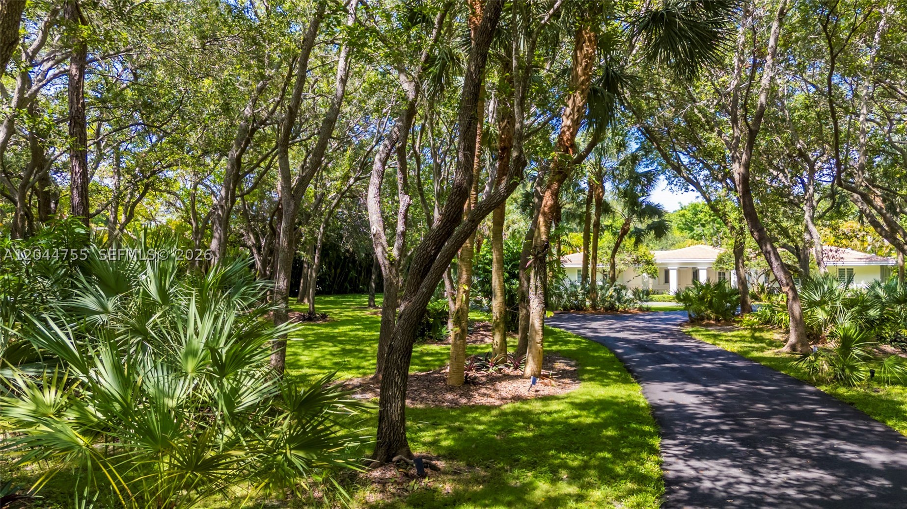 Completely renovated in 2019, this beautifully landscaped full acre lot is set back from a quiet, tree line street surrounded by oak trees.  The property offers outstanding privacy and a serene setting.  

Designed with an open-concept floor plan and abundant natural light throughout, the home features five spacious bedrooms.  Considered to have two primary bedrooms, all bedrooms have their own ensuite bathroom, plus a convenient cabana bath for the newly installed pool.  Every detail of the renovation was thoughtfully completed, including a new bedroom, impact glass windows and doors and premium finishes throughout.

The chefs kitchen is equipped with top of the line Miele appliances including a built in coffee system, steam oven, speed oven, conventional oven, cooling drawers, paneled refrigerator, and two dishwashers.  The kitchen opens seamlessly to the main living area and overlooks the resort style backyard.

Additional highlights include hardwood floors, immaculate garage with epoxy flooring and a long driveway providing ample parking.

This move in ready home combines luxury, functionality and an unbeatable Pinecrest full acre lot offering the rare opportunity to own a fully renovated estate.