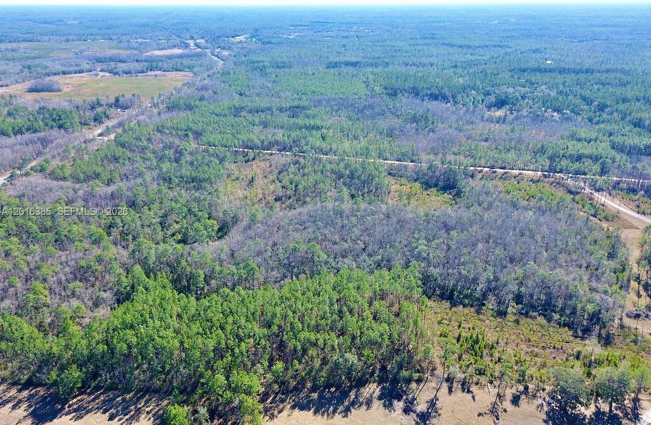 Tucked away in the peaceful Aucilla Plantation area of Greenville, Florida, this beautiful wooded property offers the kind of privacy and quiet that’s getting harder to find.

The sale includes 2 adjoining lots being sold together, with a combined size of just under 11 acres, giving you plenty of space to build, explore, hunt, or simply enjoy nature.

The land is surrounded by North Florida’s natural beauty, creating the perfect setting for a future homesite, weekend retreat, hunting camp, or long-term investment. Deer and turkey are frequently seen on the property, making it especially attractive for outdoor enthusiasts.

Even though the property feels secluded and private, you’re still within reasonable driving distance to Perry, Madison, and Valdosta for shopping, dining, and everyday conveniences.

Located within the desirable Aucilla Plantation community, the property benefits from county-maintained road access for easy year-round entry.

If you’ve been looking for a larger wooded tract with privacy, recreational potential, and room to create your own getaway, this is a property worth seeing.