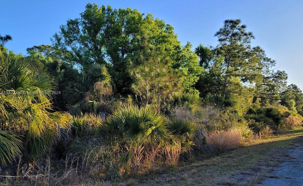 North Port - Land