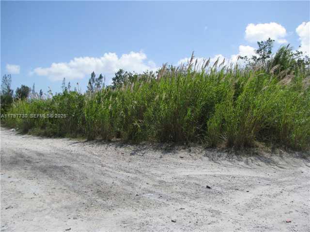 MIAMI LAND & DEVELOPMENT - Land