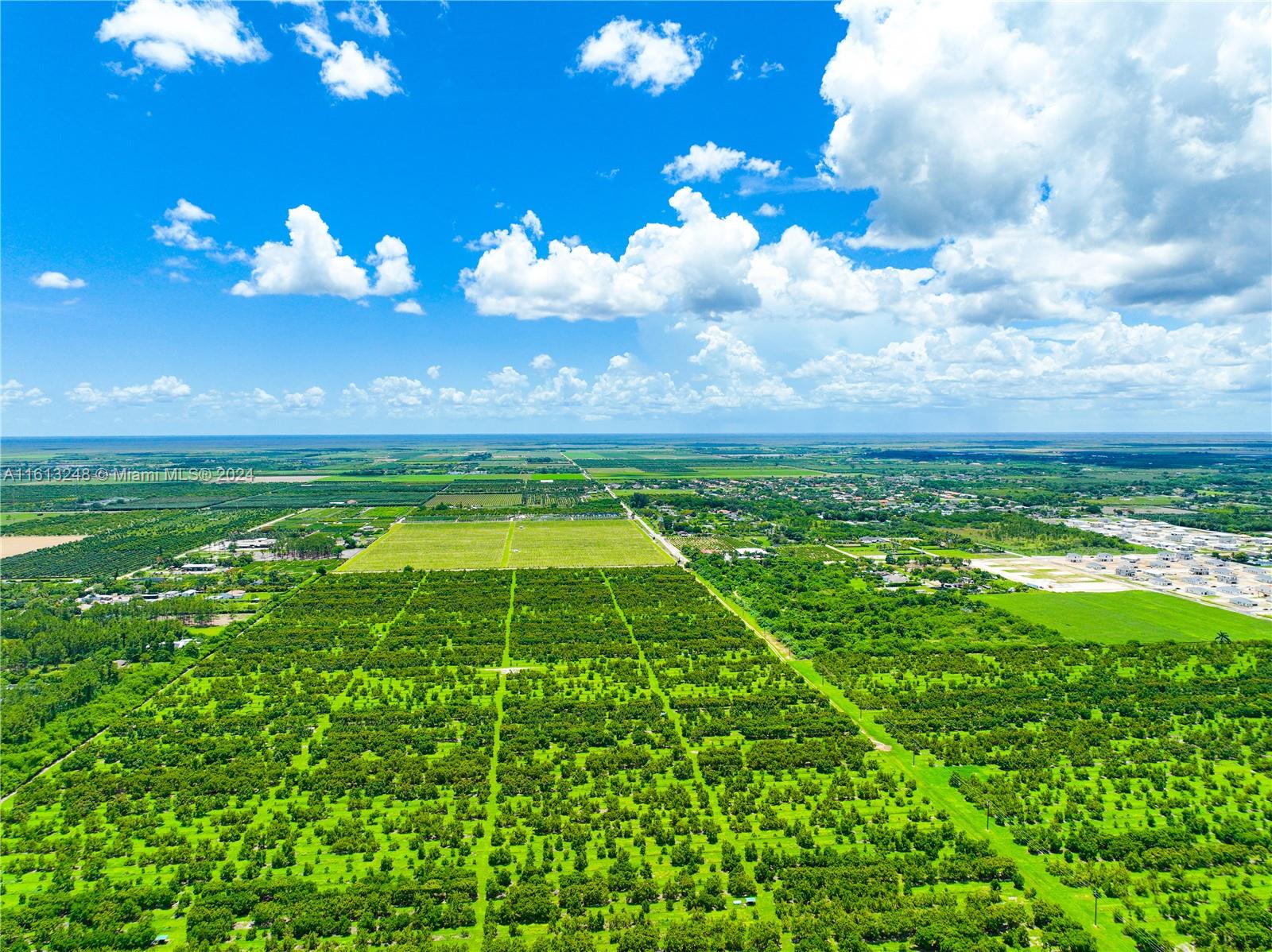 AVOCADO VILLAS - Residential