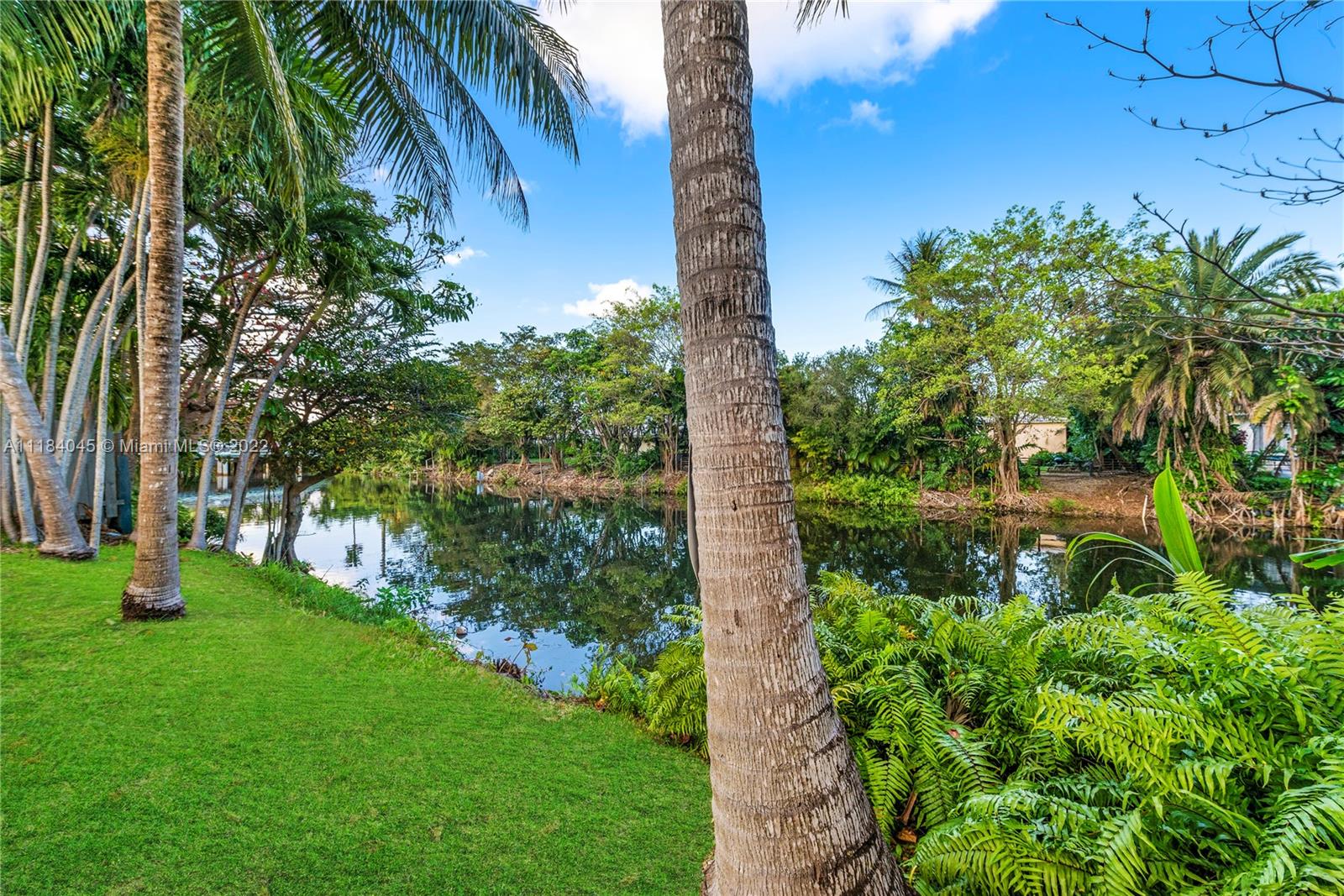BELLEVUE BISCAYNE - Residential
