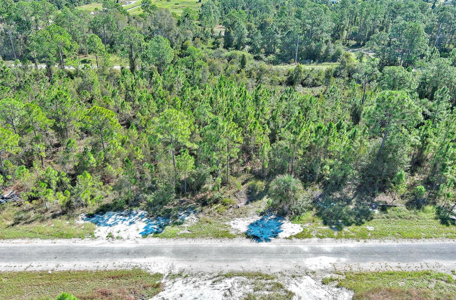 LEHIGH ACRES - Land