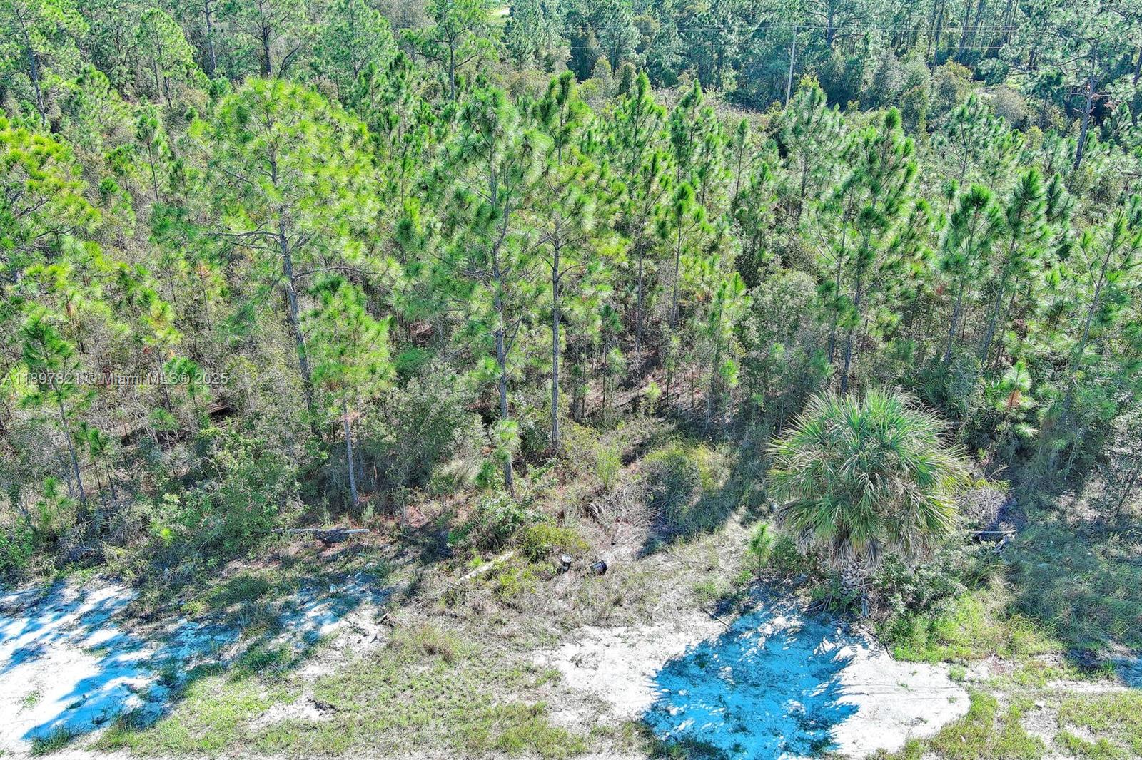 LEHIGH ACRES - Land