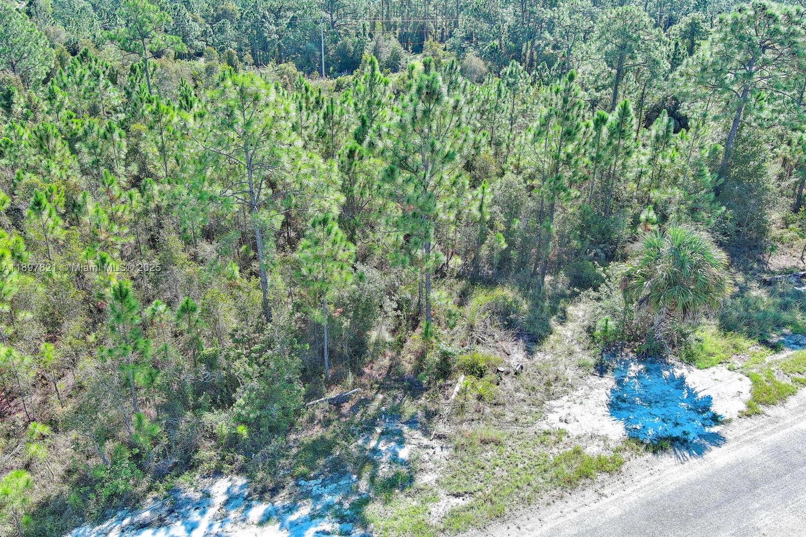 LEHIGH ACRES - Land