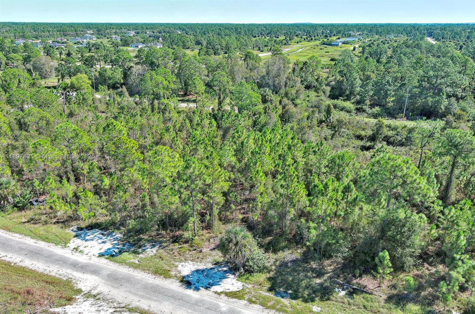 LEHIGH ACRES - Land